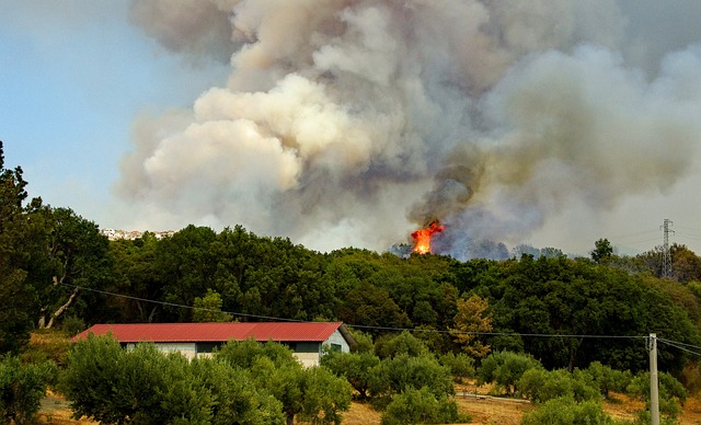 fire-2740784_640